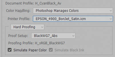 Набор установок Print Settings в Photoshop для печати цветопробы двухкрасочного изображения